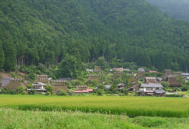 クマ出没地域に一人で暮らす父が心配｜50代女性からの調査相談