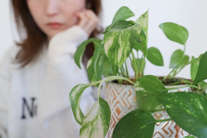 頬杖を突く女性。父が介護職員に盗まれたと訴える…認知症の誤認？それとも本当の盗難？|40代女性からの調査相談。